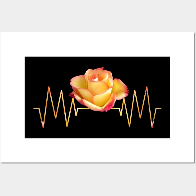 Rose heartbeat roses flower heart frequency Rose Heartbeat